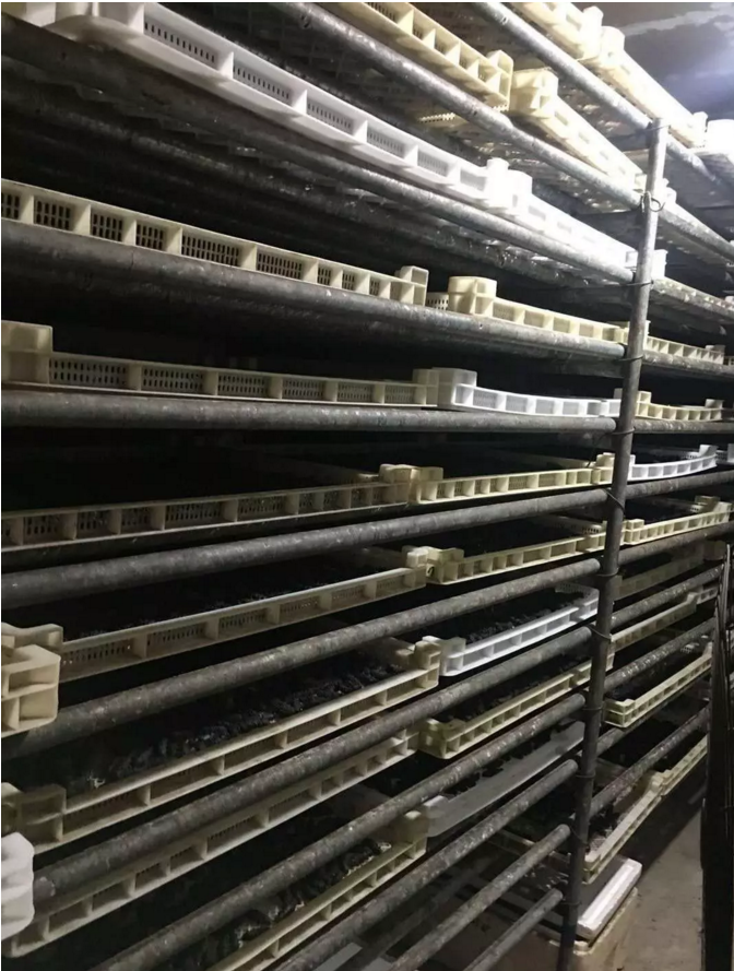 海參熱泵烘干 海參熱泵烘干