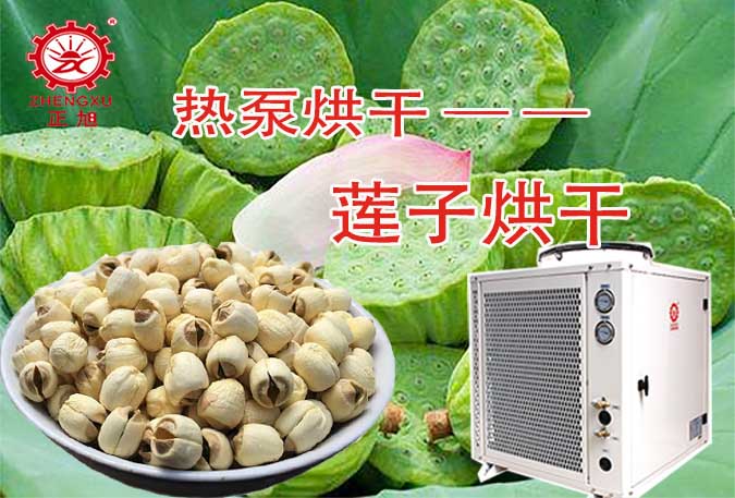 蓮子蓮心熱泵烘干機(jī) 蓮子蓮心熱泵烘干機(jī)