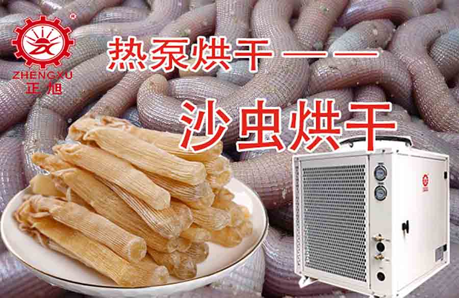 沙蟲熱泵烘干機 沙蟲熱泵烘干機