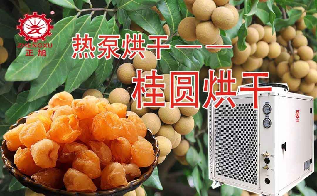 桂圓熱泵烘干工藝