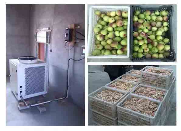 正旭空氣能無(wú)花果熱泵烘干機(jī)項(xiàng)目 正旭空氣能無(wú)花果熱泵烘干機(jī)項(xiàng)目