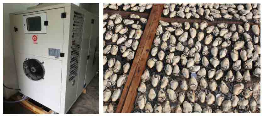 生蠔熱泵烘干機(jī) 生蠔熱泵烘干機(jī)