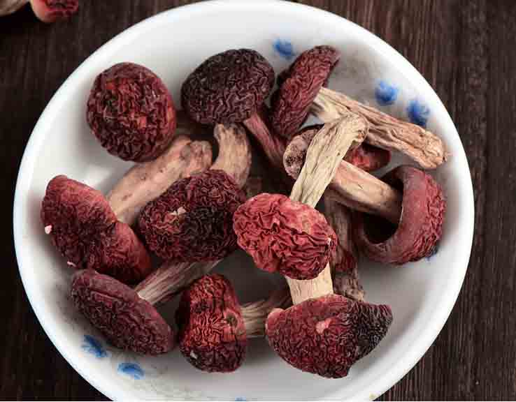 紅菇烘干機組圖 紅菇烘干機組圖