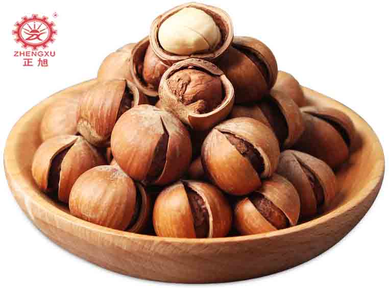 正旭榛子烘干工藝及烘干設備 正旭榛子烘干工藝及烘干設備