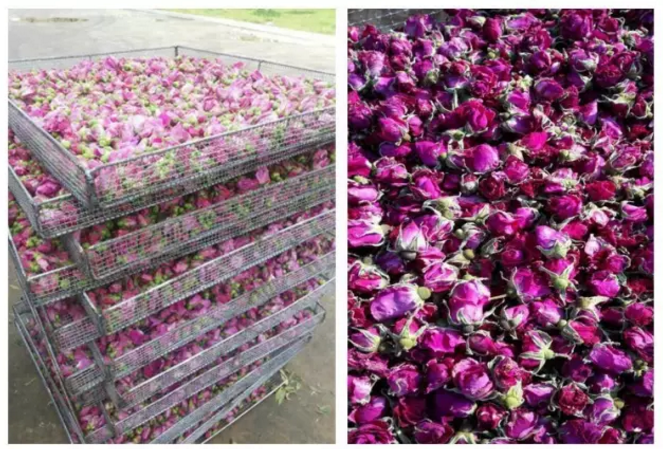 自制太陽能烘干房成本低,但烘干效果不如空氣能 自制太陽能烘干房成本低,但烘干效果不如空氣能